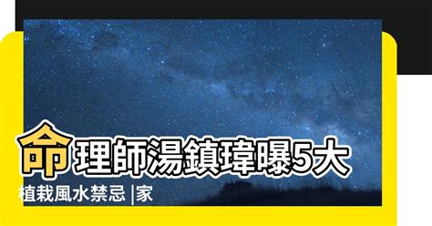 九重葛擺放位置 理丞道長